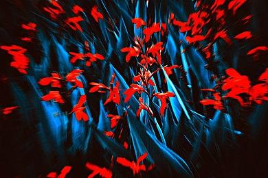 《堡垒之夜》联动初音未来开启 丰富奖励不能错过