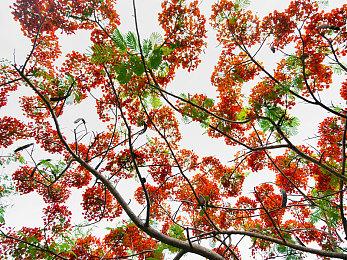 沙特要建全球最高端游戏电竞馆 可容纳5155人